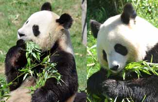 rencontre avec le val de sioule